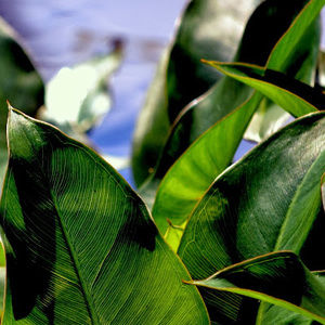 Meet your Posher, Terrie